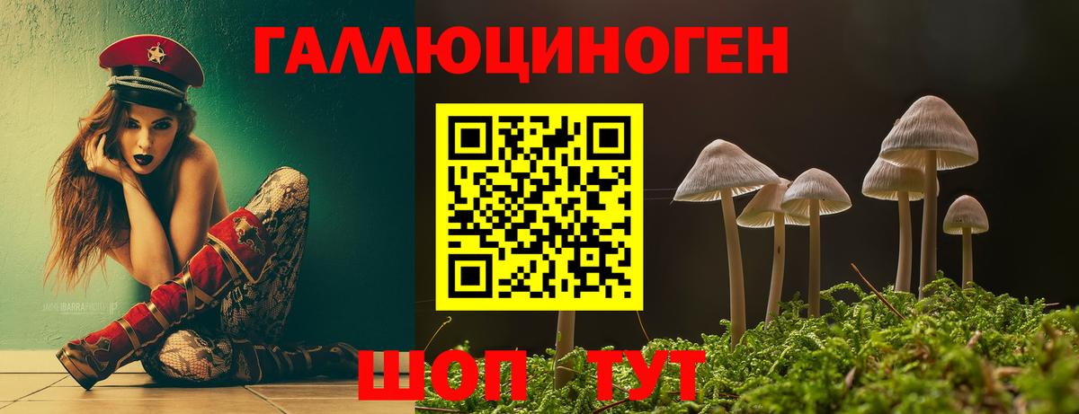 Галлюциногенные грибы Psilocybe Феодосия